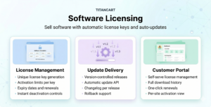 Software Licensing
